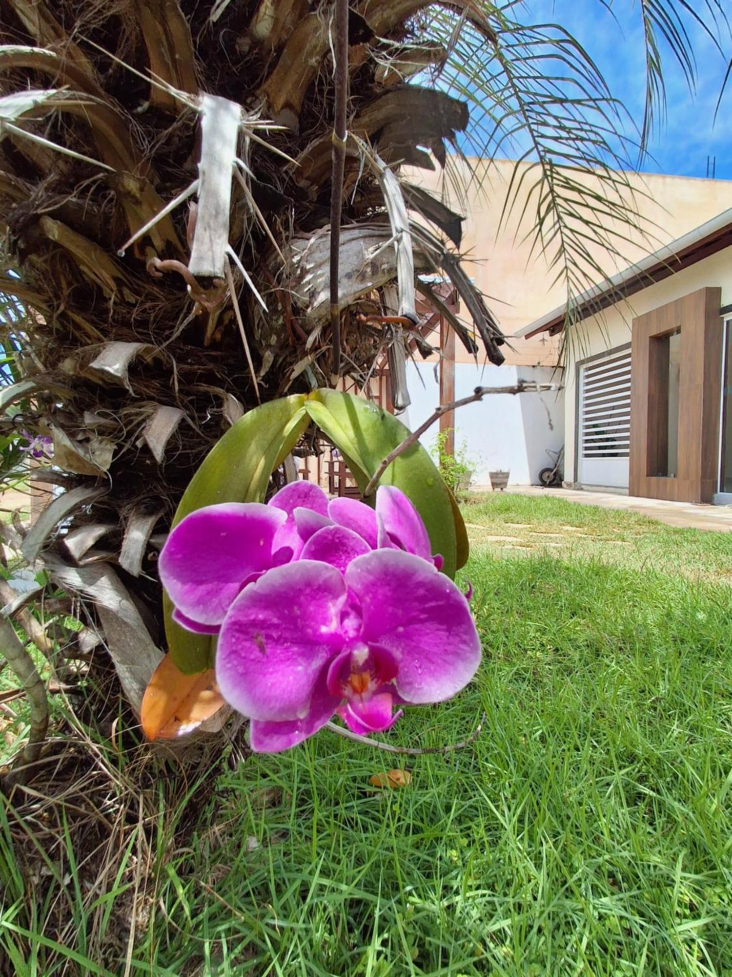 Casa Com Piscina Na Praia De Peroba Maragogi Exterior photo
